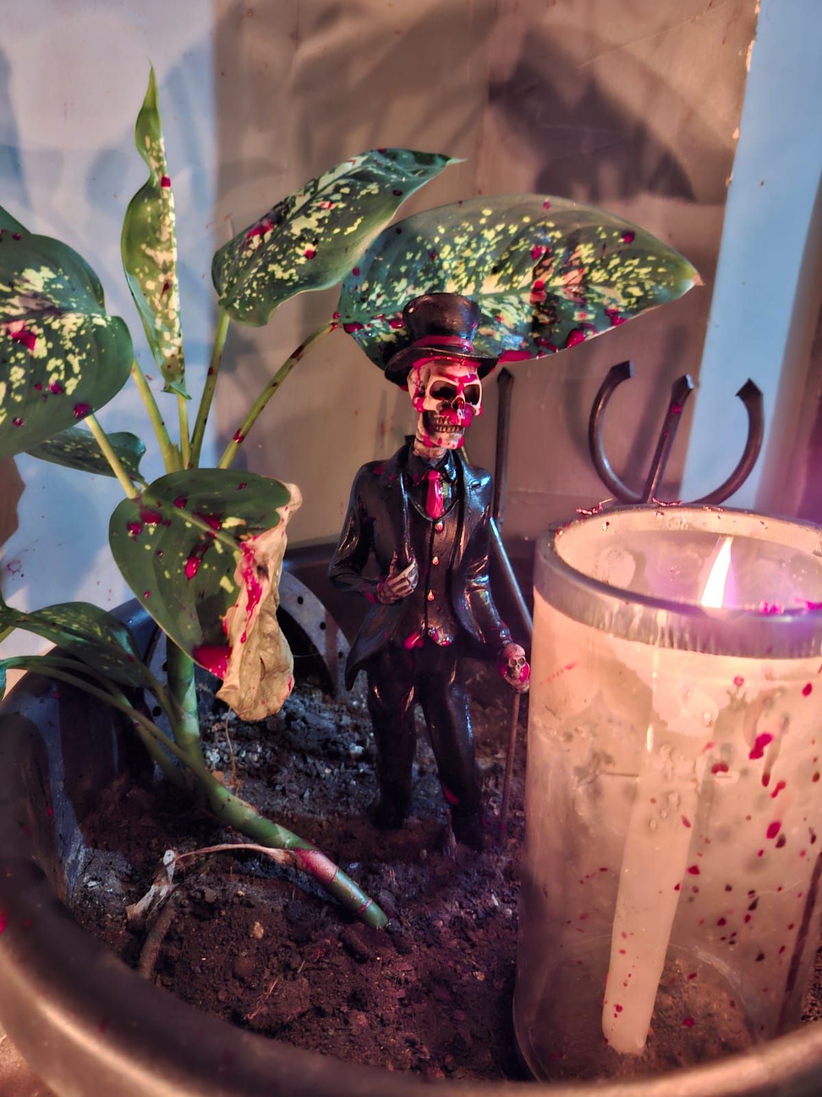 Assentamento sagrado na Casa Espiritual Zé Corisco