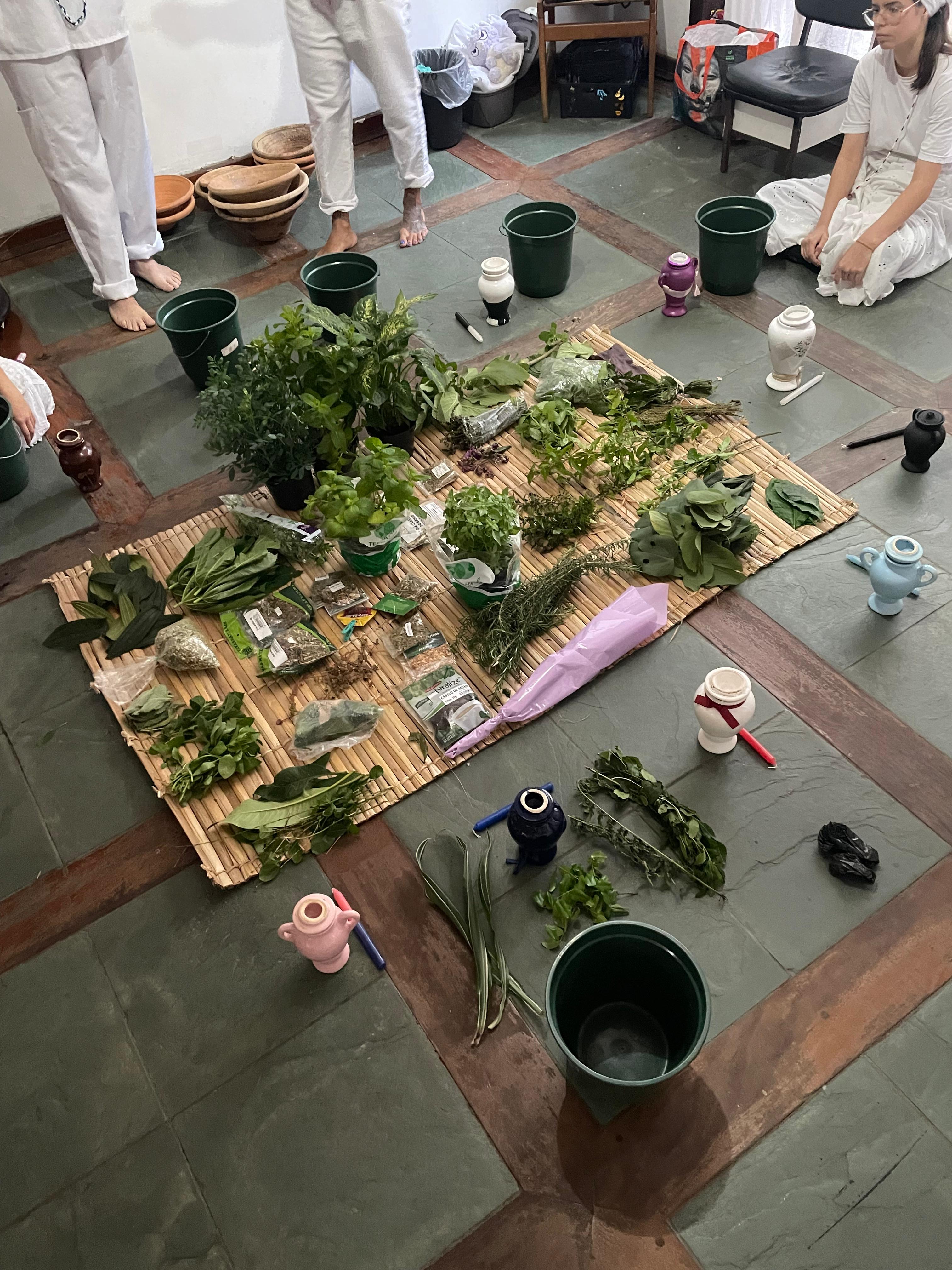 Preparo de banho de ervas frescas